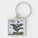 Search for tobacco key rings Botanical