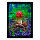 Search for agaric cards Amanita muscaria