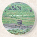 Search for bisons coasters Wildlife