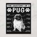 Search for puppy flyers Pet