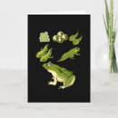 Search for biology cards Animals