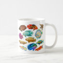 Search for oscars mugs Cichlid