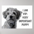 Search for very posters Puppy