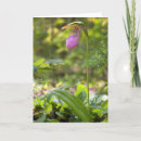 Search for slipper cards Flower