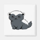 Search for honey badgers magnets Cute