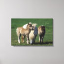 Search for miniature canvas prints Horse