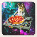 Search for meme coasters Kitten