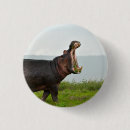 Search for wildlife badges Africa