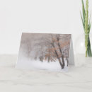 Search for danita delimont cards Misty
