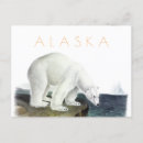 Search for polar bear postcards Vintage