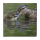 Search for chick tiles Cute