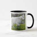 Search for mountain goats mugs Usa