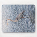 Search for blue heron mousepads Animal