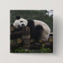 Search for giant badges Bamboo