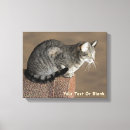 Search for grey tabby cat art Animals