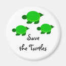 Search for turtled magnets Save the turtles