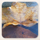 Search for autumn leaf coasters Nature