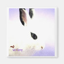 Search for fuzzy magnets Bunny