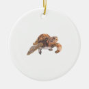 Search for life is good christmas tree decorations Turtle