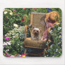 Search for yorkshire mousepads Terrier