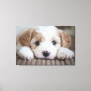 Search for animals canvas prints Puppy