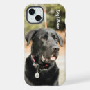 Search for labrador iphone cases Puppy