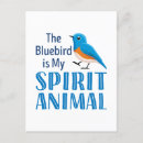 Search for spirits postcards Blue