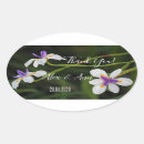 Search for wild iris Flower