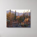 Search for sonoran art Desert