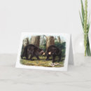 Search for audubon cards Animal