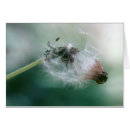 Search for fuzz postcards Nature