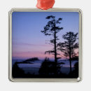 Search for horizon christmas tree decorations Dusk