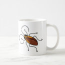 Search for cockroach mugs Nature