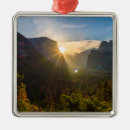 Search for dawn christmas tree decorations Nature