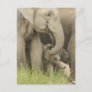 Search for corbett postcards Care