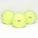 Search for tennis balls Humour