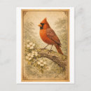 Search for male postcards Nature