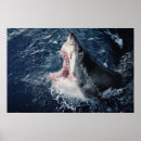 Search for mouth open posters Animal