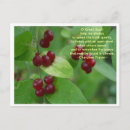 Search for cherokee Quote