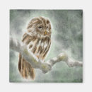 Search for wise owls magnets Night