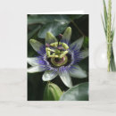 Search for fleur de cards Botanical