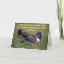 Search for ape cards Chimpanzee