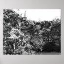 Search for white rock posters Granite