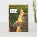 Search for cat quote cards Pets