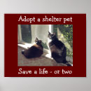 Search for adopt an animal sign posters Spay