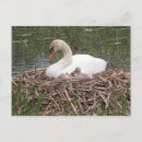 Search for logan postcards Nature