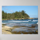 Search for sea shore art Oahu