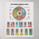 Search for chinese medicine posters Meridian