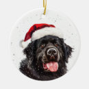 Search for newfoundland dog christmas tree decorations Cute