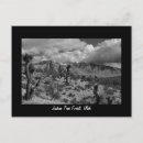 Search for mojave desert postcards Yucca